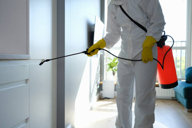 Best Mold Removal Process  in Overlea, MD