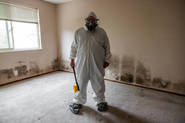 Best Commercial Mold Removal  in Overlea, MD